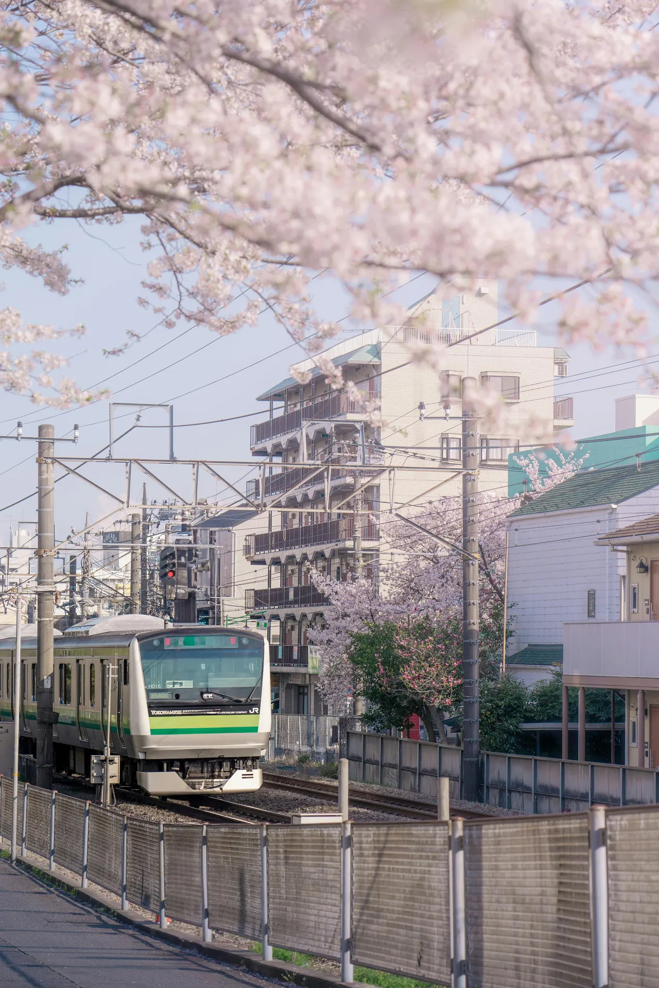 Route ferroviaire bordée de fleurs de printemps avec perspective verticale et atmosphère calme